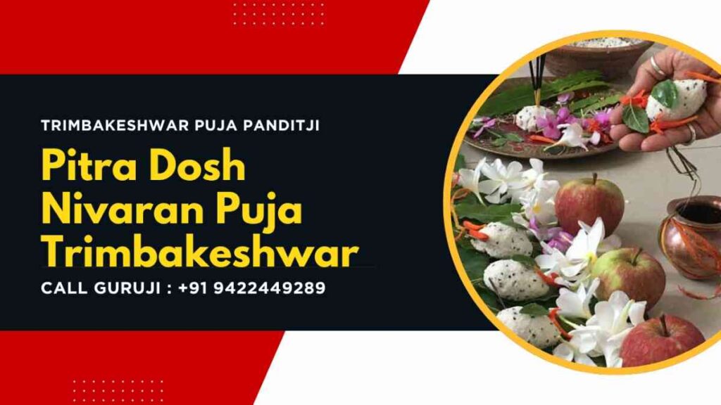 Pitra Dosh Nivaran Puja