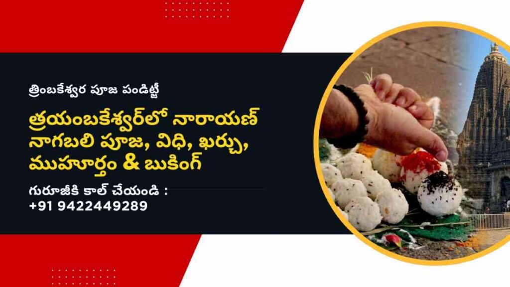 నారాయణ్ నాగబలి